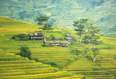 Bahas Topik Memanas! Rencana Pemekaran Wilayah Sumatera Selatan dengan 7 Kabupaten Kota Ikut Berpisah Wilayah yang Menarik Perhatian, Pasti Terealisasikan atau Wacana?
