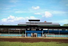 5 Stadion Megah yang Berakhir Terbengkalai di Indonesia, Satunya Terdapat di Samarinda!