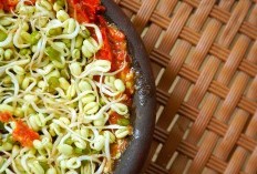 Harga Melonjak! Banten Mala Menyimpan 3 Daerah Penghasil Cabai Keriting yang Pedas dan Kenyal Mampu Hasilkan 23.061 Kwintal