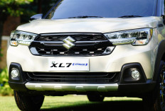 Suzuki Sumringah Penjualan Model Hybrid Tembus 51%