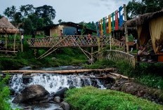 Kemegahan Alam yang Luar Biasa! Desa Cantik di Jawa Barat dengan Hutan Pinus yang Menangkan ADWI, Dekat Bandung