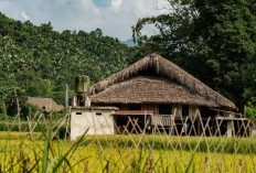 Definisi Hidden Gem di Tengah Sawah, Warung Makan di Kabupaten Magetan Nekat Jualan, Emang Ada yang Mau Beli?