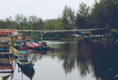 Jaraknya 450 Km dari Palangka Raya, Kabupaten Ini Bakal Jadi Ibukota Provinsi Baru Hasil Pemekaran Kalimantan Tengah, Cek Info Lengkapnya di Sini
