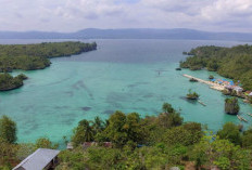 Kota Kecil Dengan Luas 1,094 Km Bakal Jadi Ibukota BAru Sulteng Gantikan Kendadri, Cek Isu Pemekaran Baru Sulawesi Tenggara