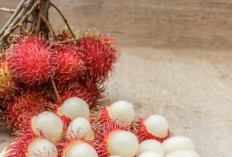 Kabupaten Subang Hasilkan Komoditi Rambutan Dalam Jumlah Besar, 3 Daerah Kontribusinya Ternyata Bisa Diandalkan, Paling Banyak Sampai 22.772,25 Ton