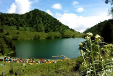 Rembang dan Wonogiri Masih Beruntung Daripada 3 Wilayah dengan UMK Rendah di Jawa Tengah ini, Nomor 1 Hanya Bisa Mencapai Rp 1.958.169