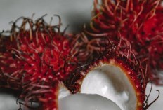 Pecinta Rambutan Merapat! 4 Kecamatan Ini Menghasilkan Buah Berambut dalam Jumlah yang Banyak, Siapa Juaranya?