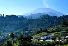 Misteri di Balik Rumah Darmo, Bangunan Menyimpan Kisah Mengenaskan di Surabaya Jawa Timur, Benarkah Bernasib Sial Setelah Tinggal di Rumah Itu?