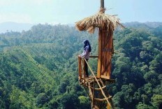 Daftar Rekomendasi Rekreasi di Alam Terbuka di Malang Raya! Taman Bunga Coban Talun, Destinasi Terfavorit bagi Pengunjung Wisata