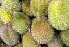 FIX Tidak Bisa Diganggu Gugat! Di Jombang Suguhkan Hasil Panen Durian Paling Melimpah, 3 Daerah Diidentifikasikan jadi Penghasilnya, Kesini Wajib Coba!