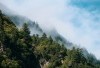 Menjelajahi Kampung Loji Keunikan Desa Paling Sepi di Cianjur yang Berada di Tengah Hutan Belantara dengan Hanya Dihuni oleh 30 Rumah Warganya