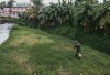 Menyingkap Keunikan Desa-Desa di Kabupaten Kebumen, Ada Desa Tugu yang Menggambarkan Ketinggian dan Kekuatan Hingga Desa Bocor Lebih dari Sekadar Lubang