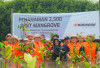 Peringati Hari Lingkungan Hidup Sedunia, Hankook Tire Tanam 2.500 Bibit Mangrove di Pesisir Muara Gembong
